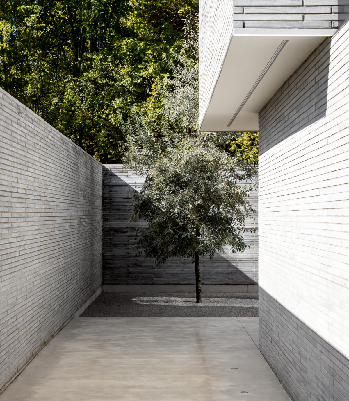 2023 Design Trends Halcyon Homes